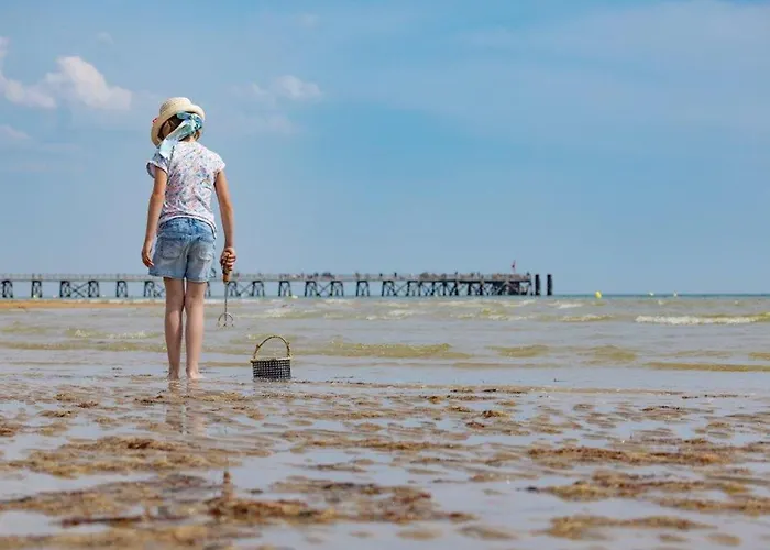 Renove Face Avec Parking - 6 Pers - Fr-1-323-597 Apartment *