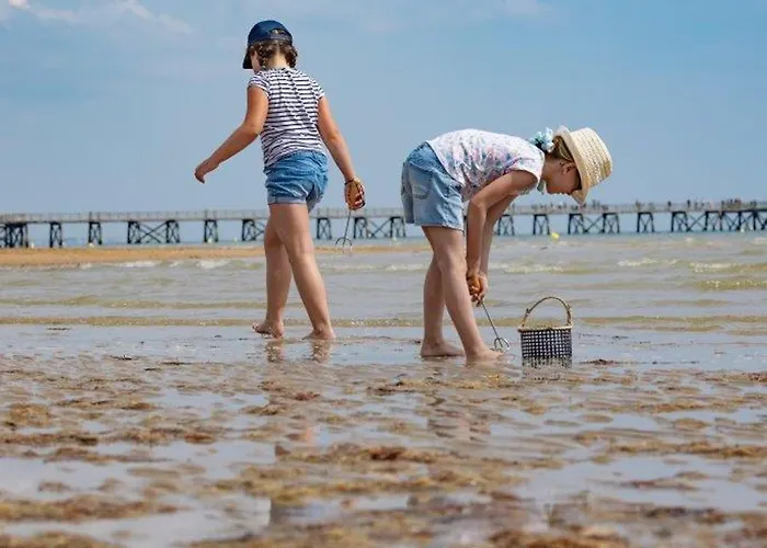 Apartment Renove Face Avec Parking - 6 Pers - Fr-1-323-597 *